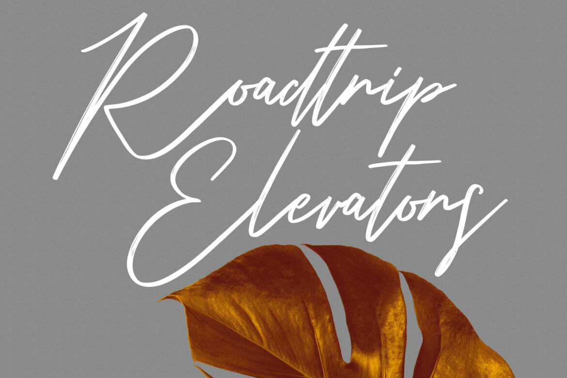 Belostika FREE Brush Script - view 5