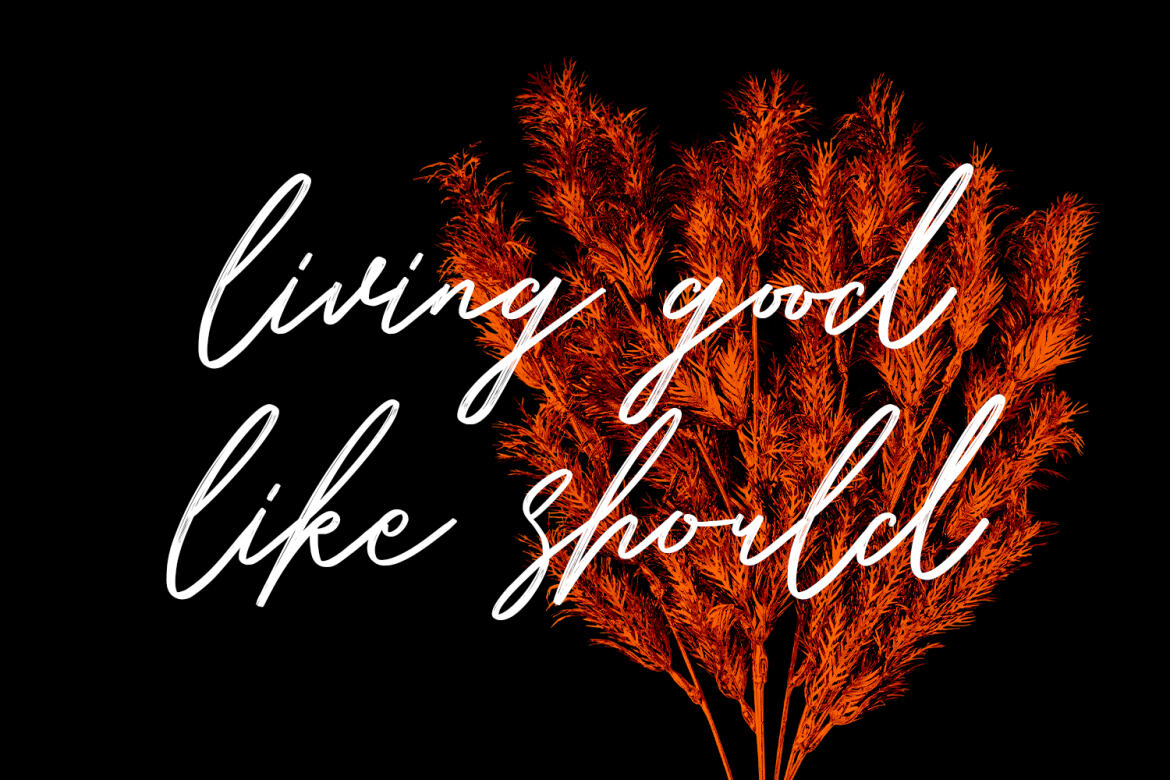 Belostika FREE Brush Script - view 7