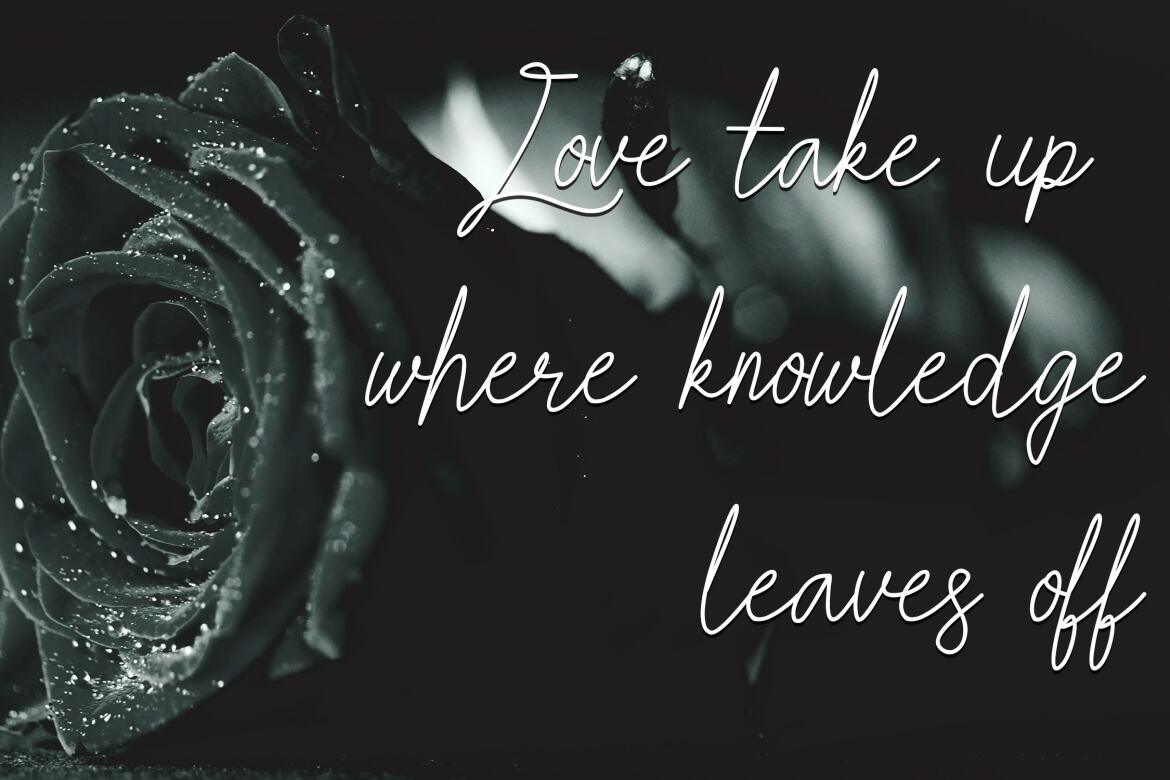 Love Aster FREE Script - view 3