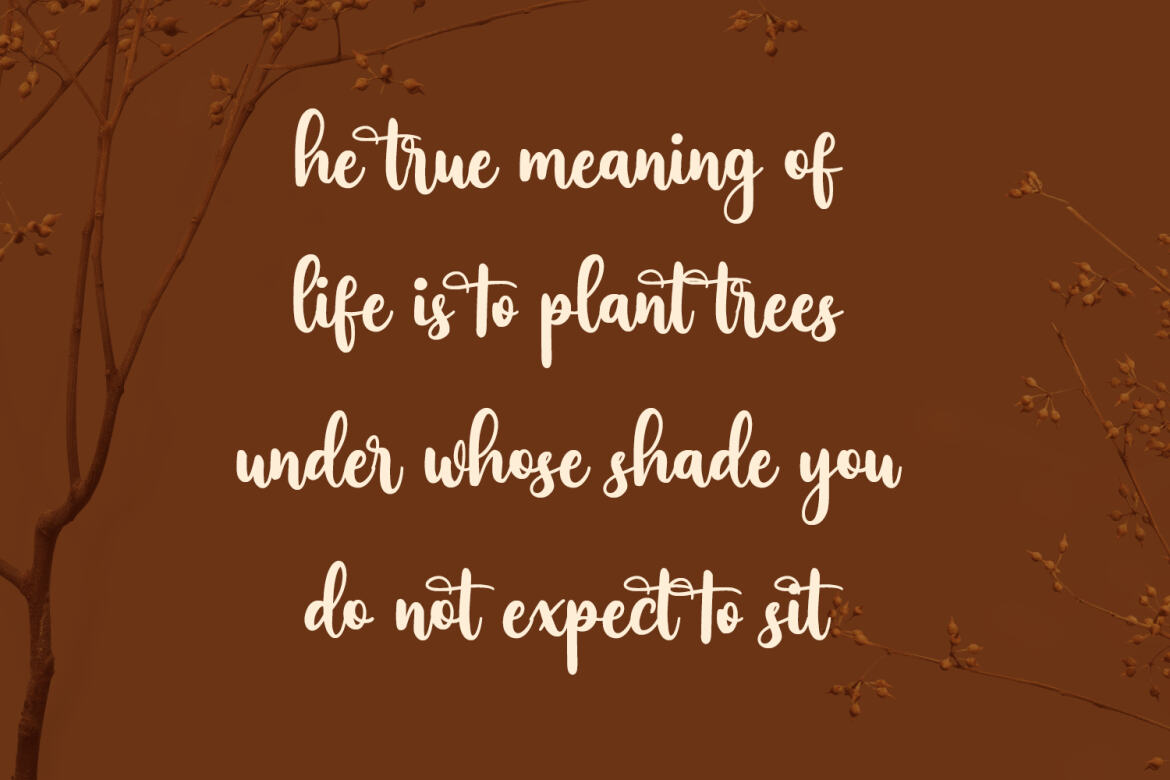 Vinylatte Fancy Handwritten FREE Script - view 4