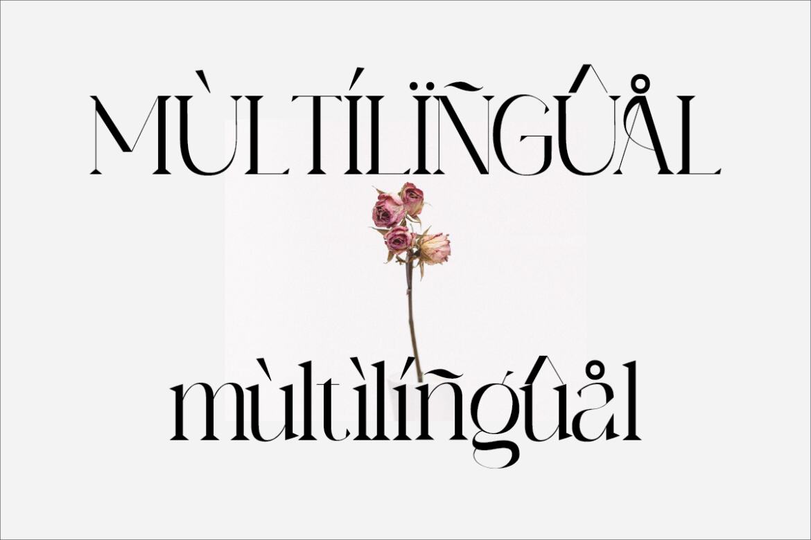 Archare FREE Modern Serif Font - view 8