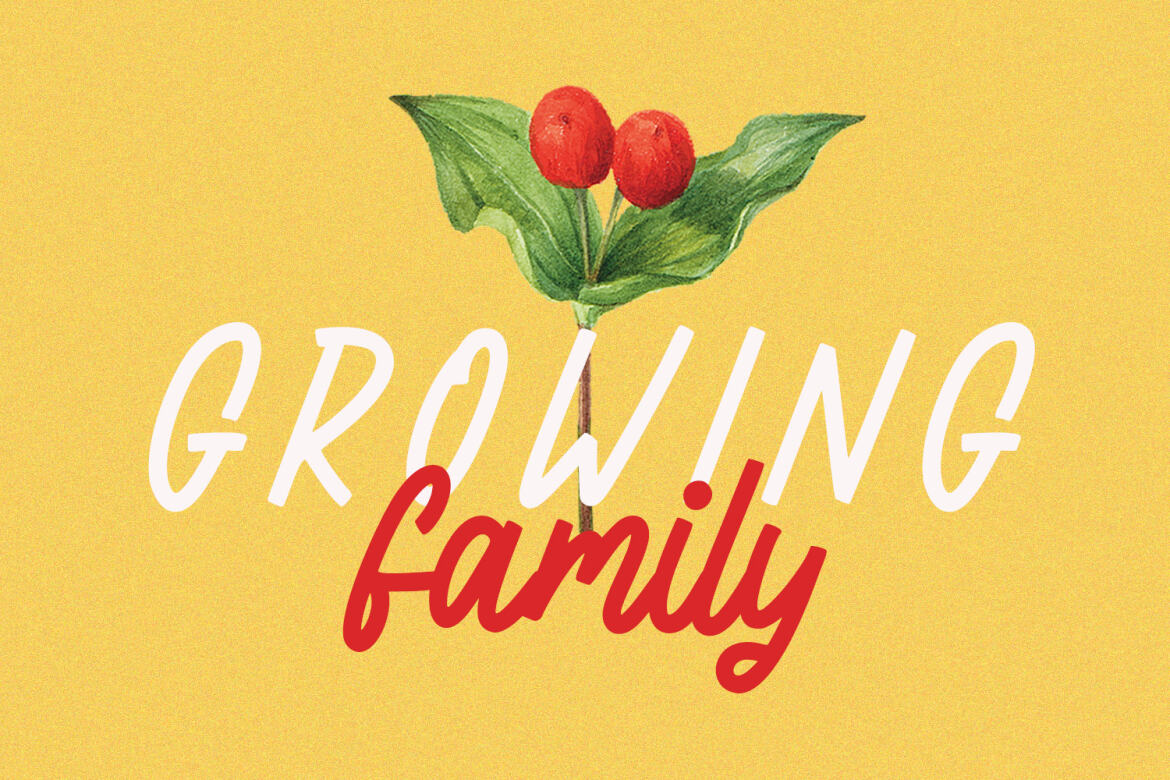 La flexes Handwritten FREE Script - view 6