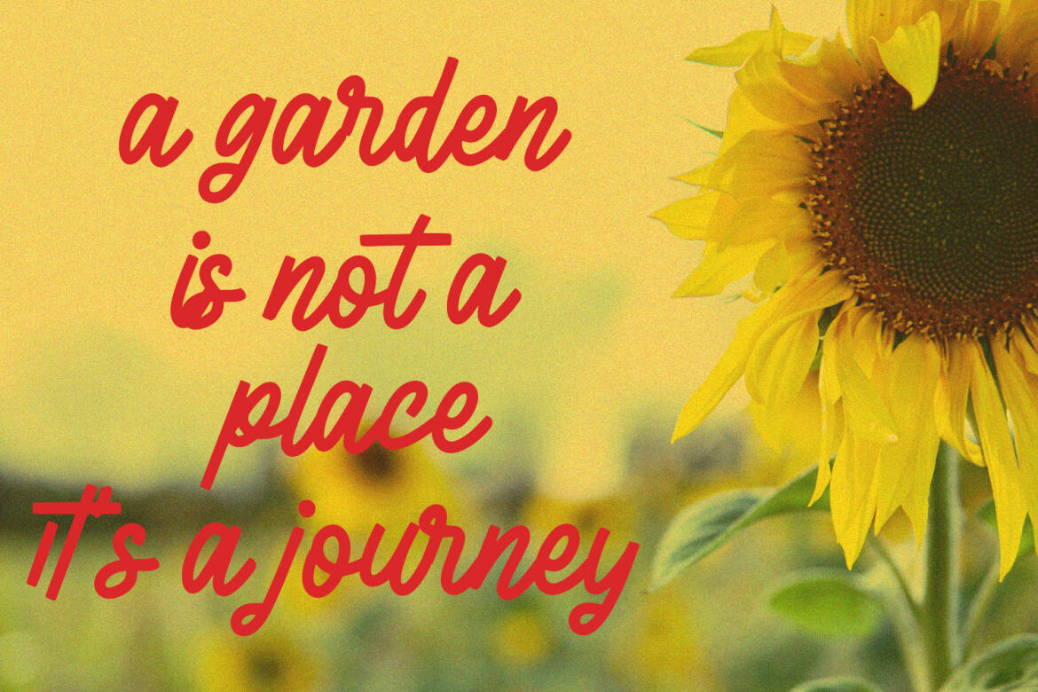 La flexes Handwritten FREE Script - view 3