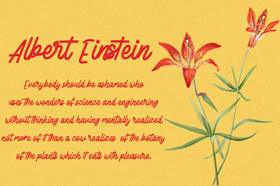 La flexes Handwritten FREE Script - view 4