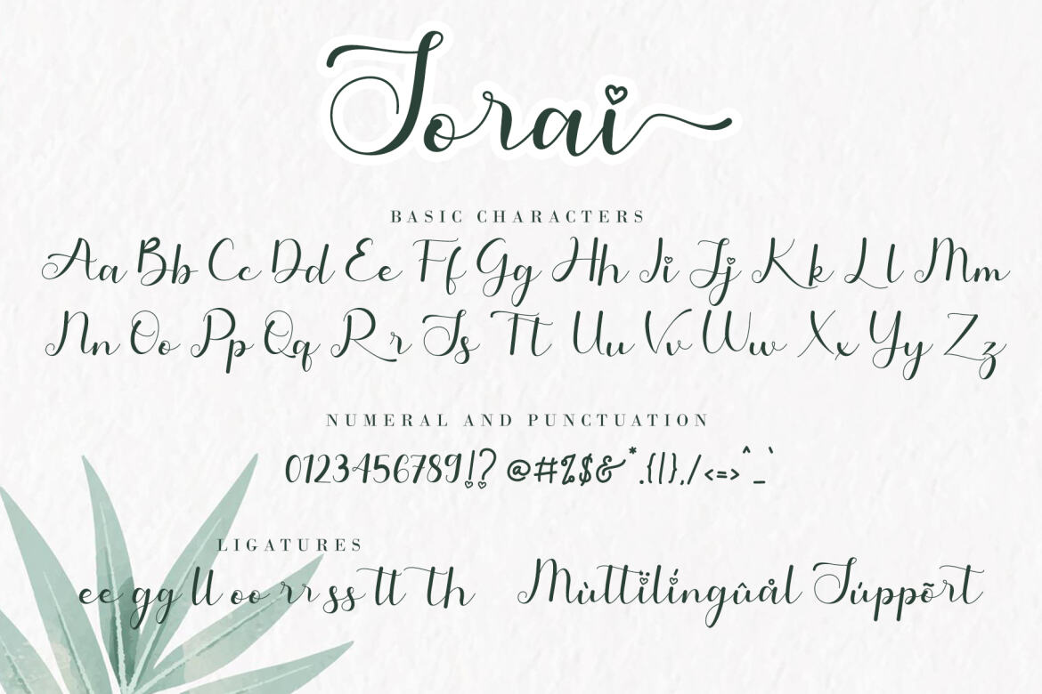 Sorai FREE Script Font - view 9