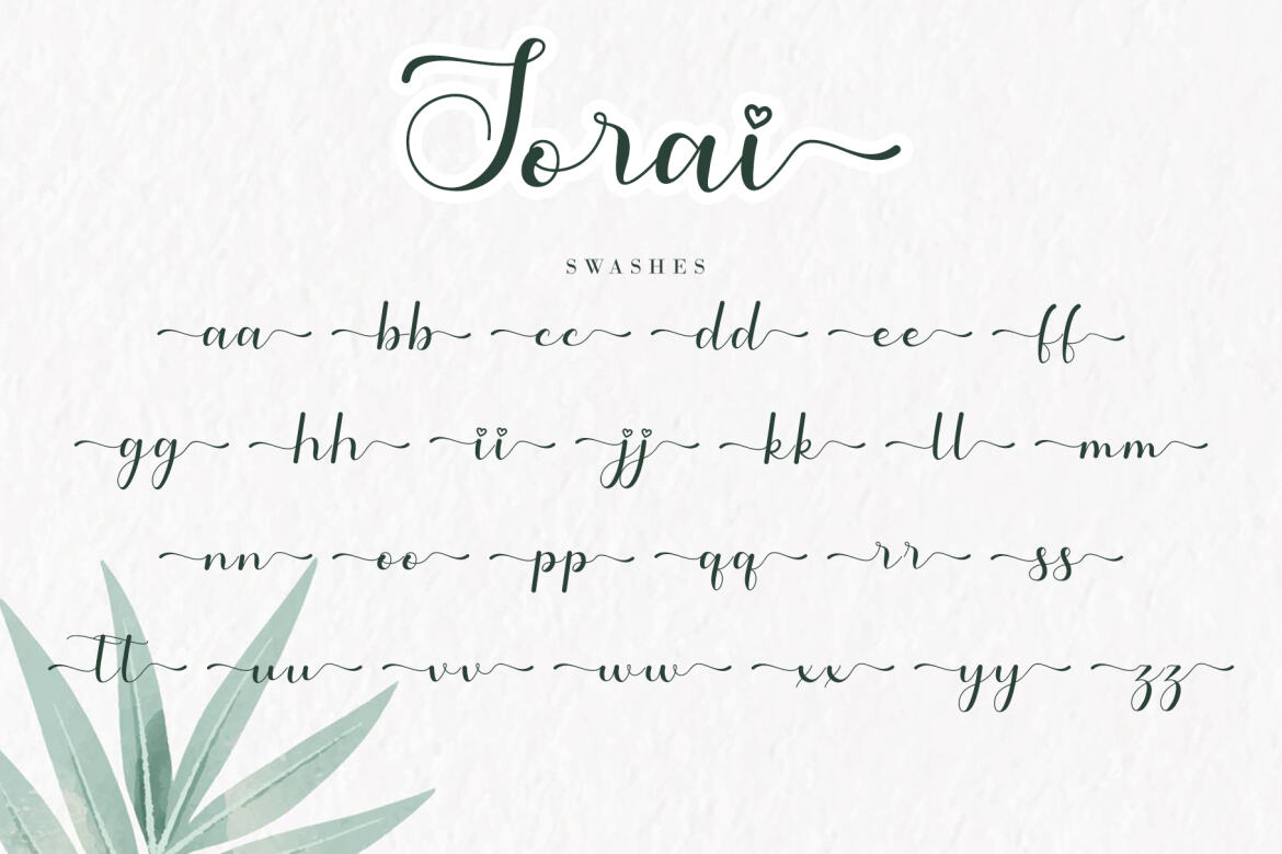 Sorai FREE Script Font - view 10