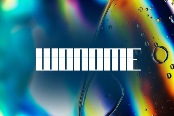 Wonome FREE Display Font