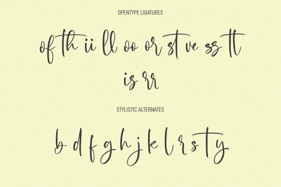 Miguel Sparks FREE Script Font - view 9