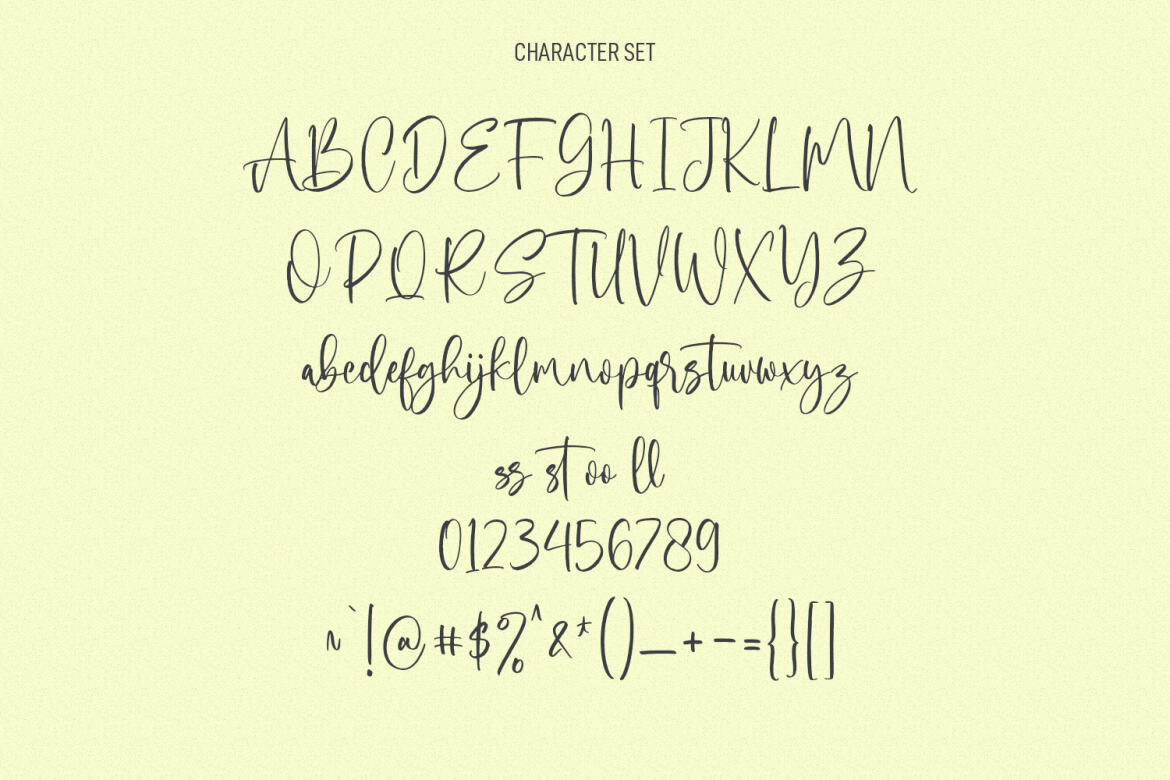 Miguel Sparks FREE Script Font - view 8