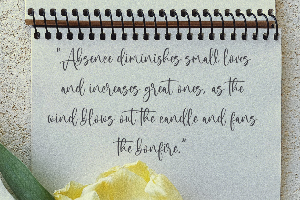 Miguel Sparks FREE Script Font alternate