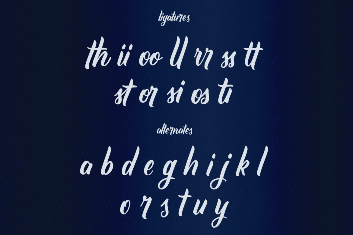 Corin Stacy FREE Script Font - view 10