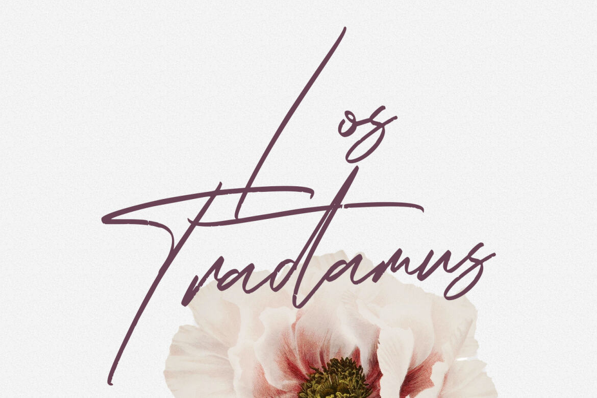 Rose Couture FREE Signature Font - view 10