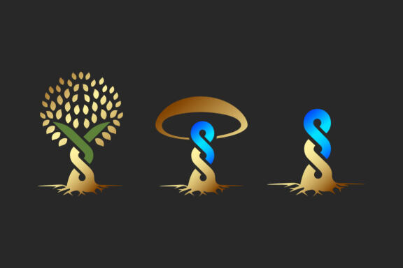 SY Monogram - Free Shapes