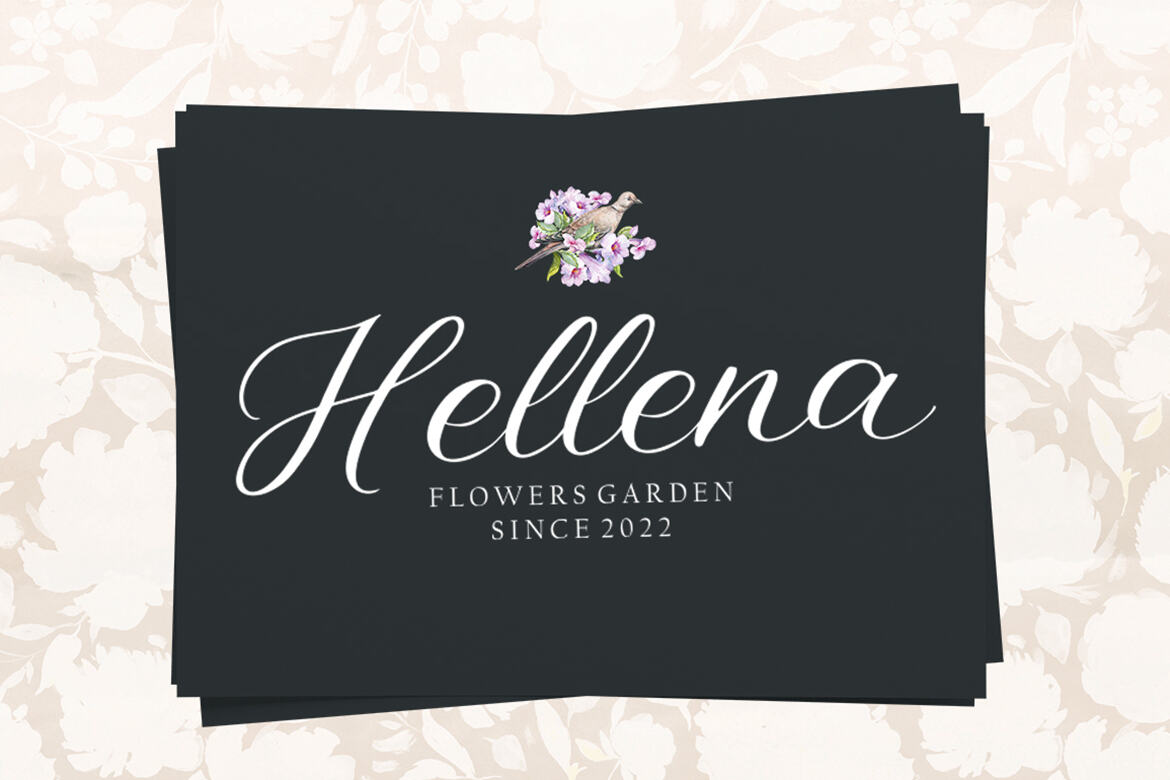 Blistar FREE Script - view 3