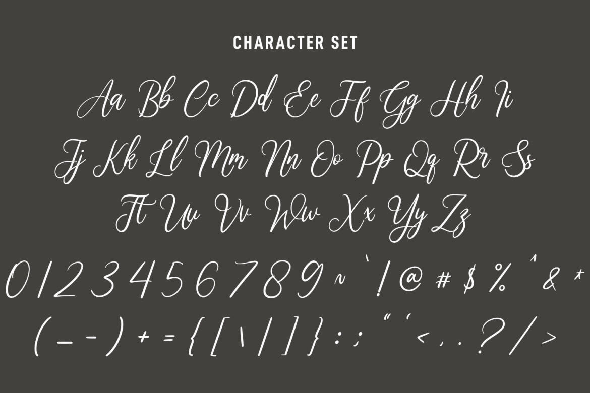 Fasttelyo Signature FREE Script Font - view 9