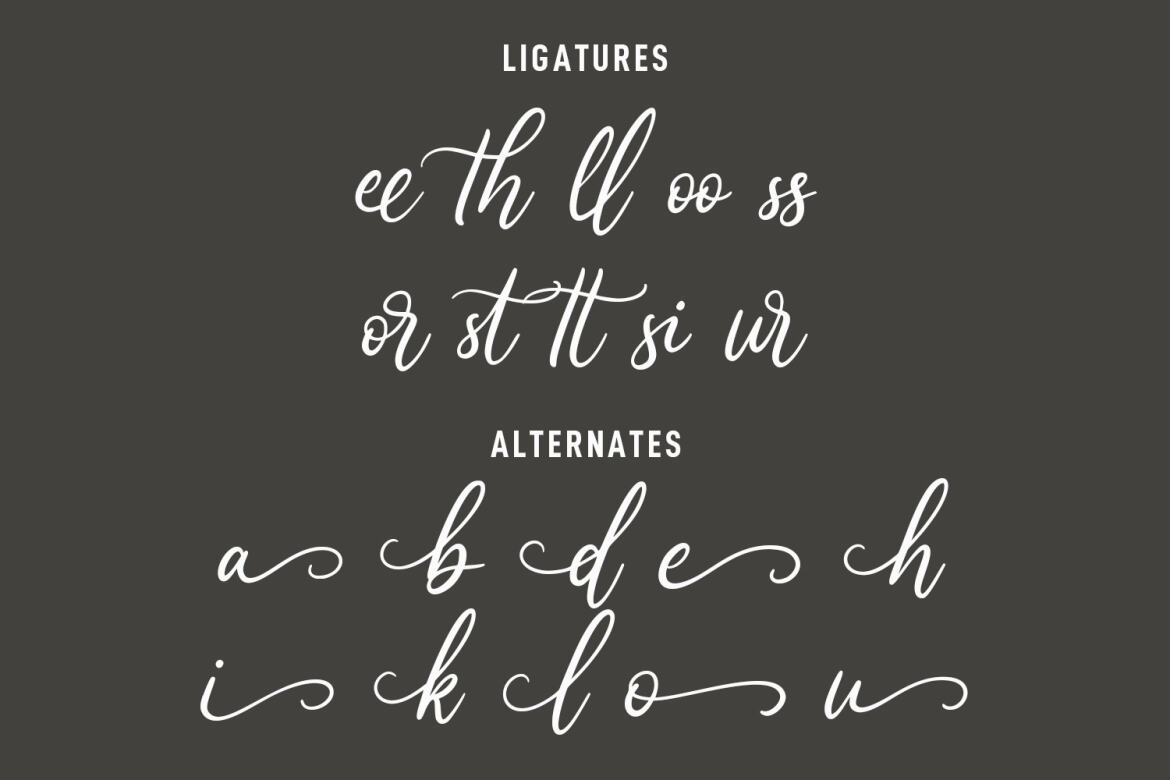 Fasttelyo Signature FREE Script Font - view 10