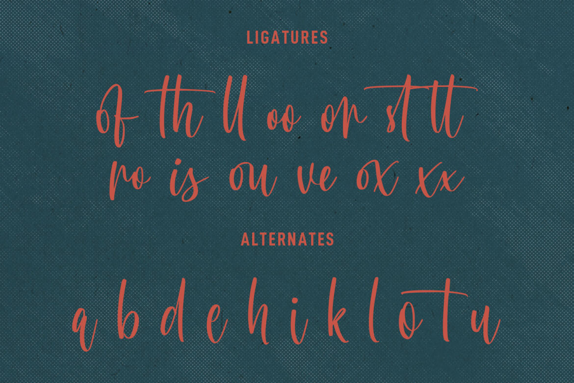 Bleachys FREE Script Font - view 10