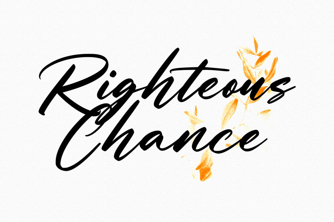 Gritts Rolly FREE Script Font - view 6