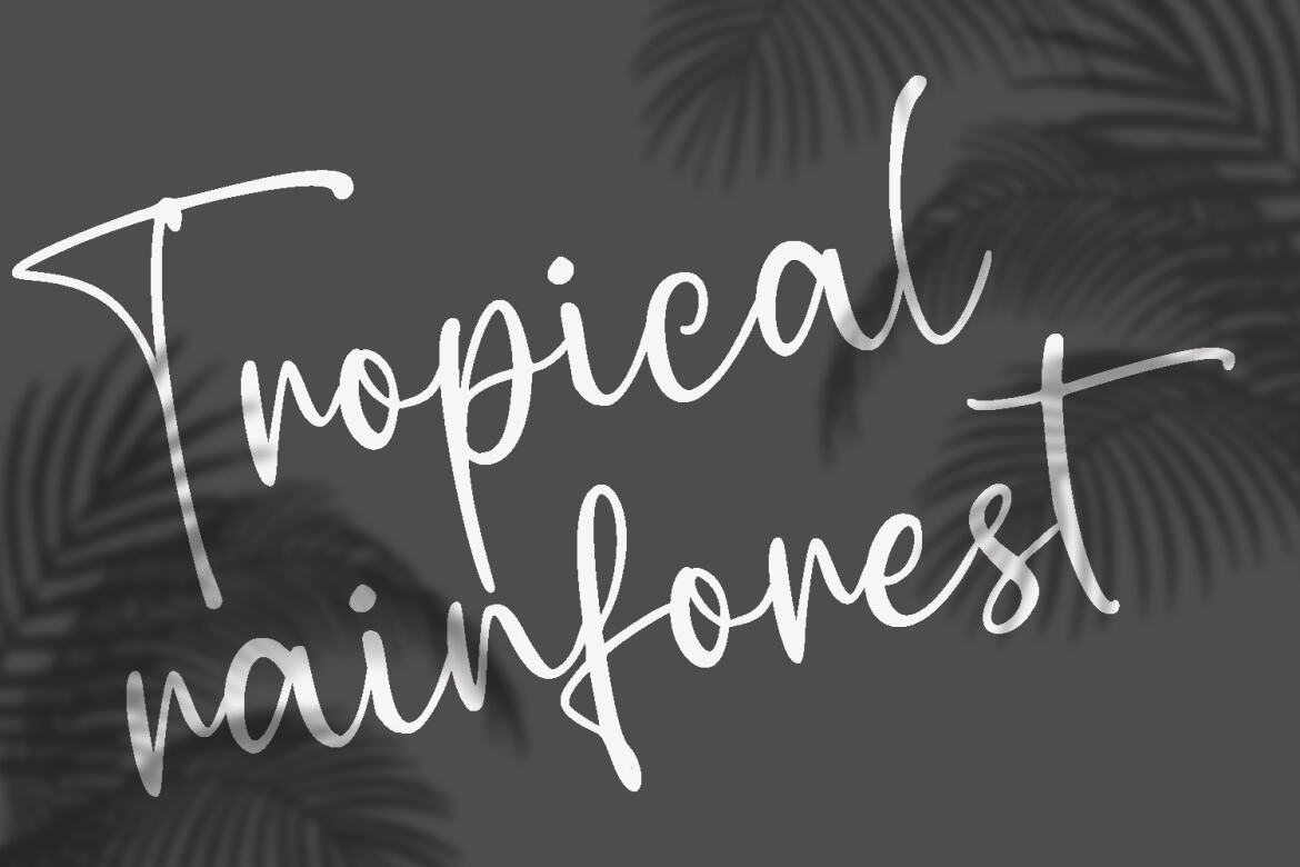 Bella Shiro FREE Script Font - view 6