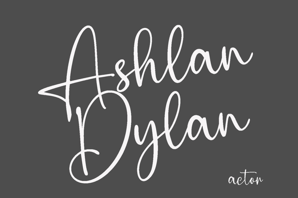 Bella Shiro FREE Script Font - view 3