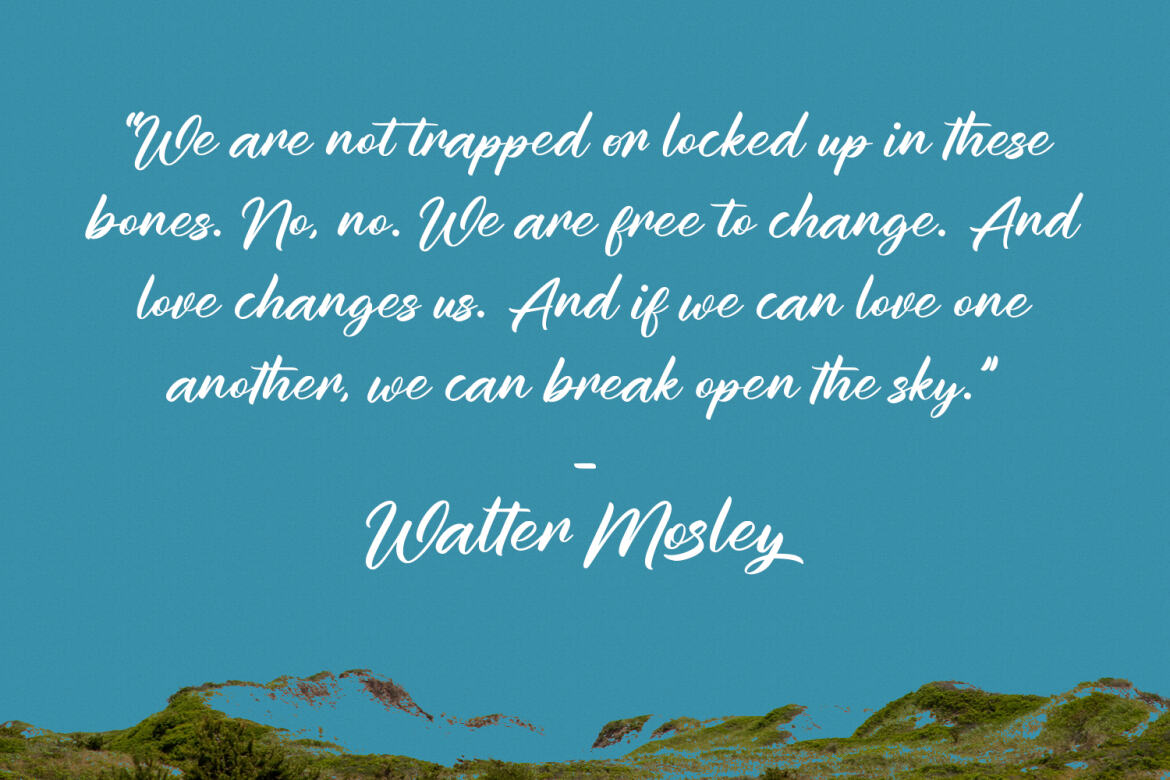 Simon Drake FREE Script Font alternate