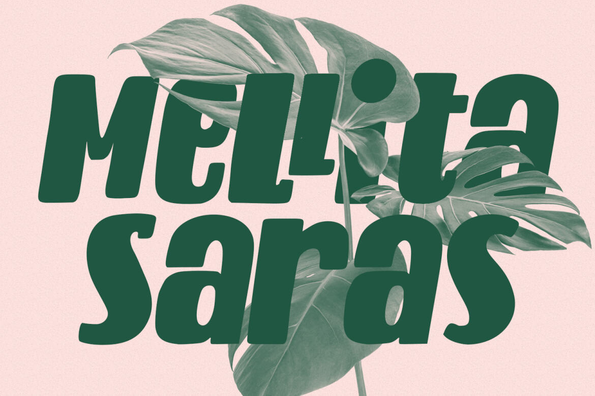 Cardifa FREE Handwritten Display Font - view 4