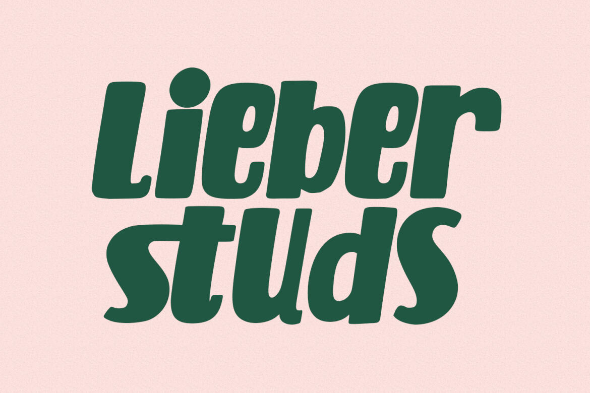 Cardifa FREE Handwritten Display Font - view 7