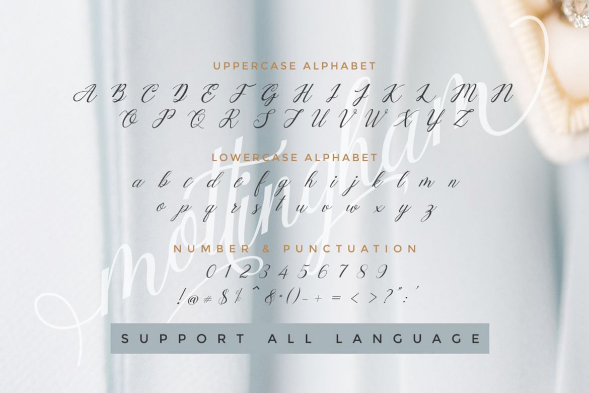 Mottingham Script - view 6