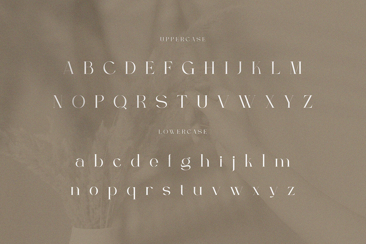 Berfilem - FREE Font alt