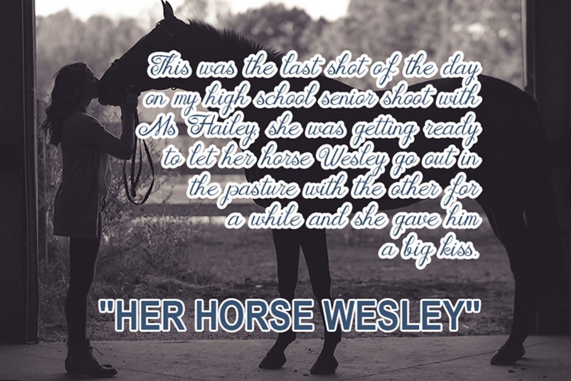 Houston Script - view 5