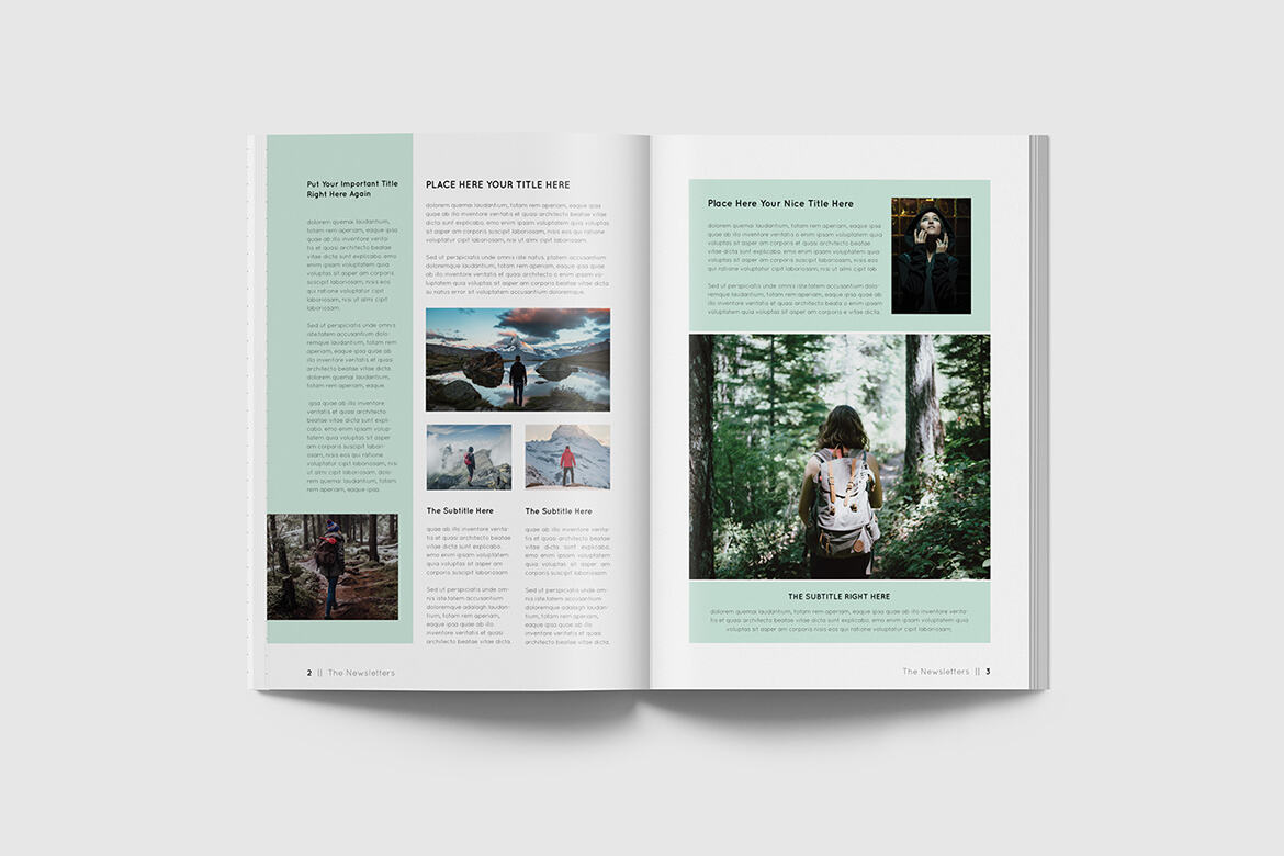 Indesign Newsletter - FREE Template - view 2