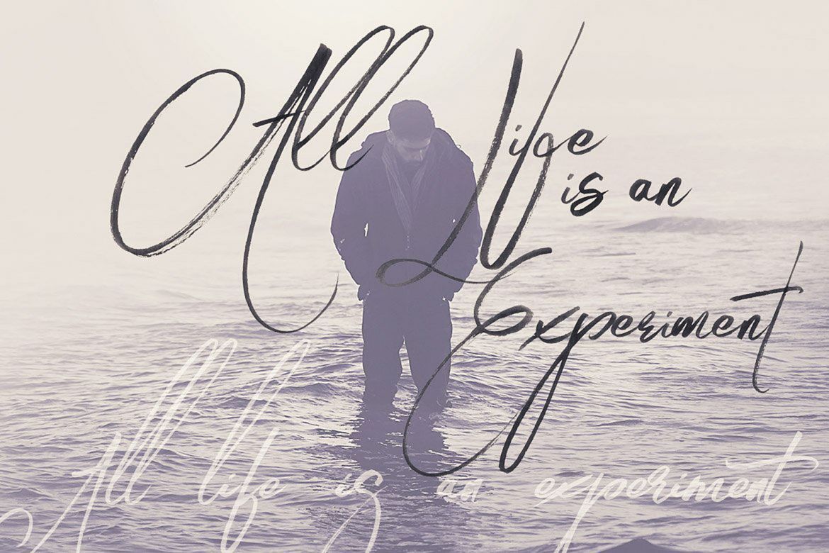 Angelic Brush & SVG Font - view 3