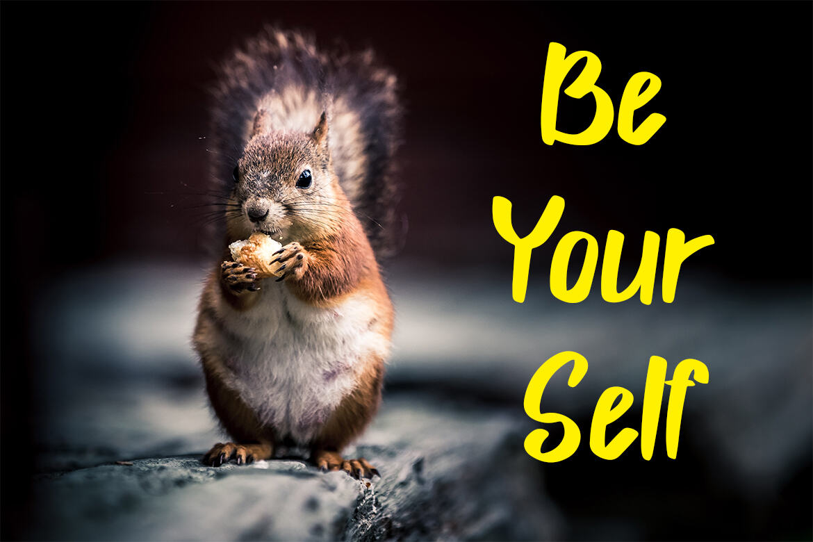 Stright Lunch FREE Font - view 6