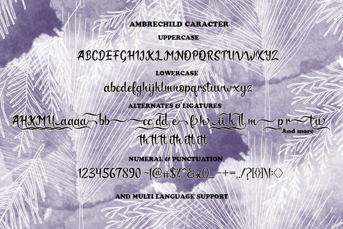 Ambrechild Script - view 6