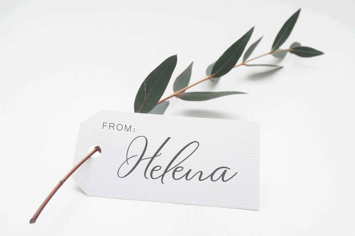 Matthew FREE Script - view 4