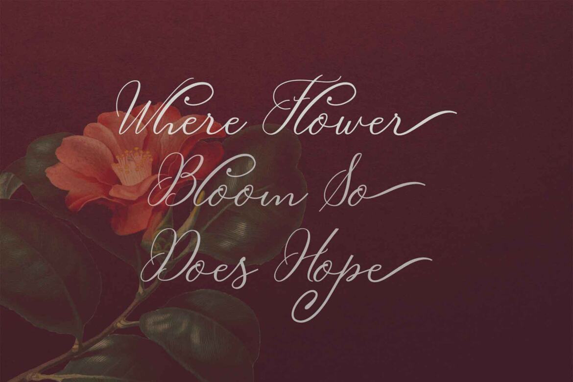 Matthew FREE Script - view 6