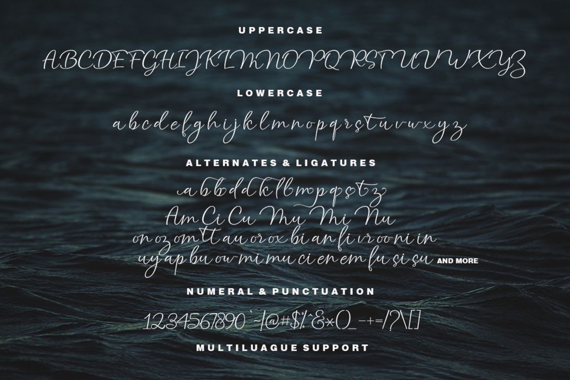 Atlantic Script - view 4