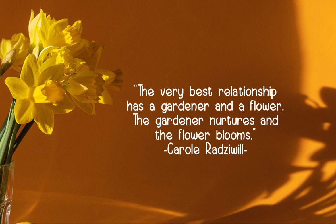 Adella FREE Font alt