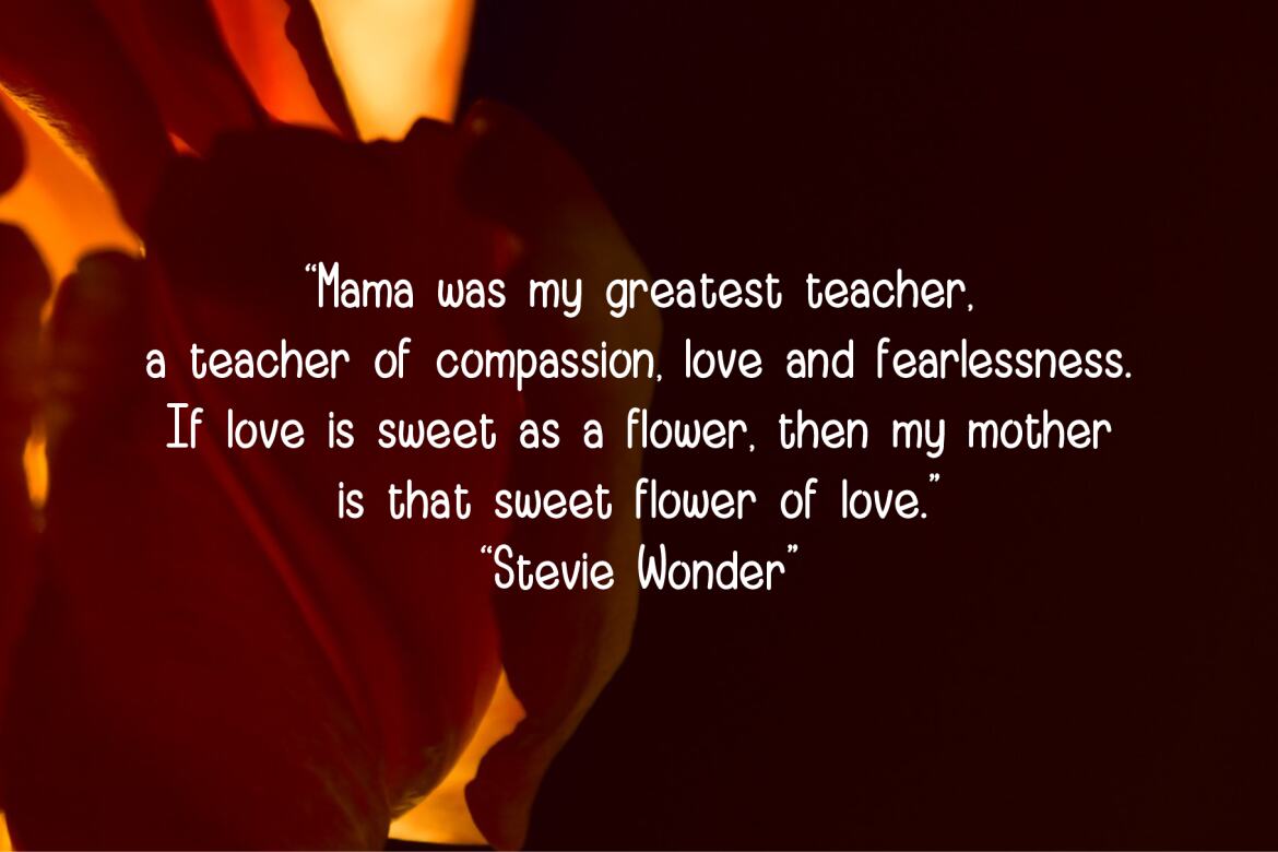 Adella FREE Font - view 3