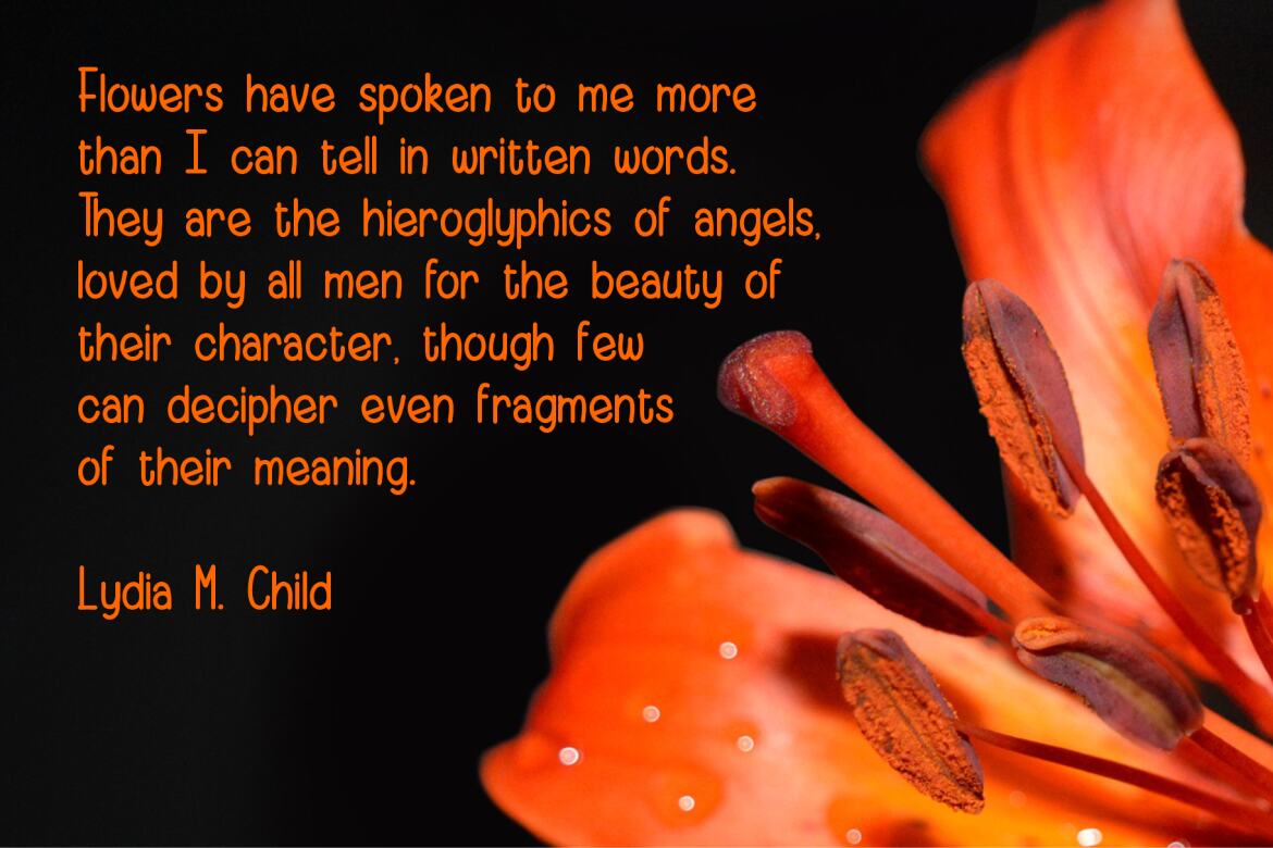 Adella FREE Font - view 4