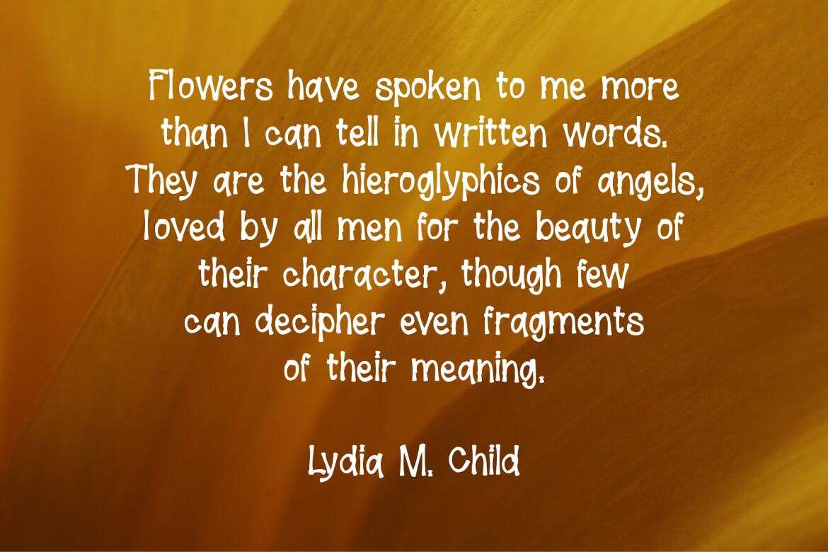 Bonds FREE Font - view 4