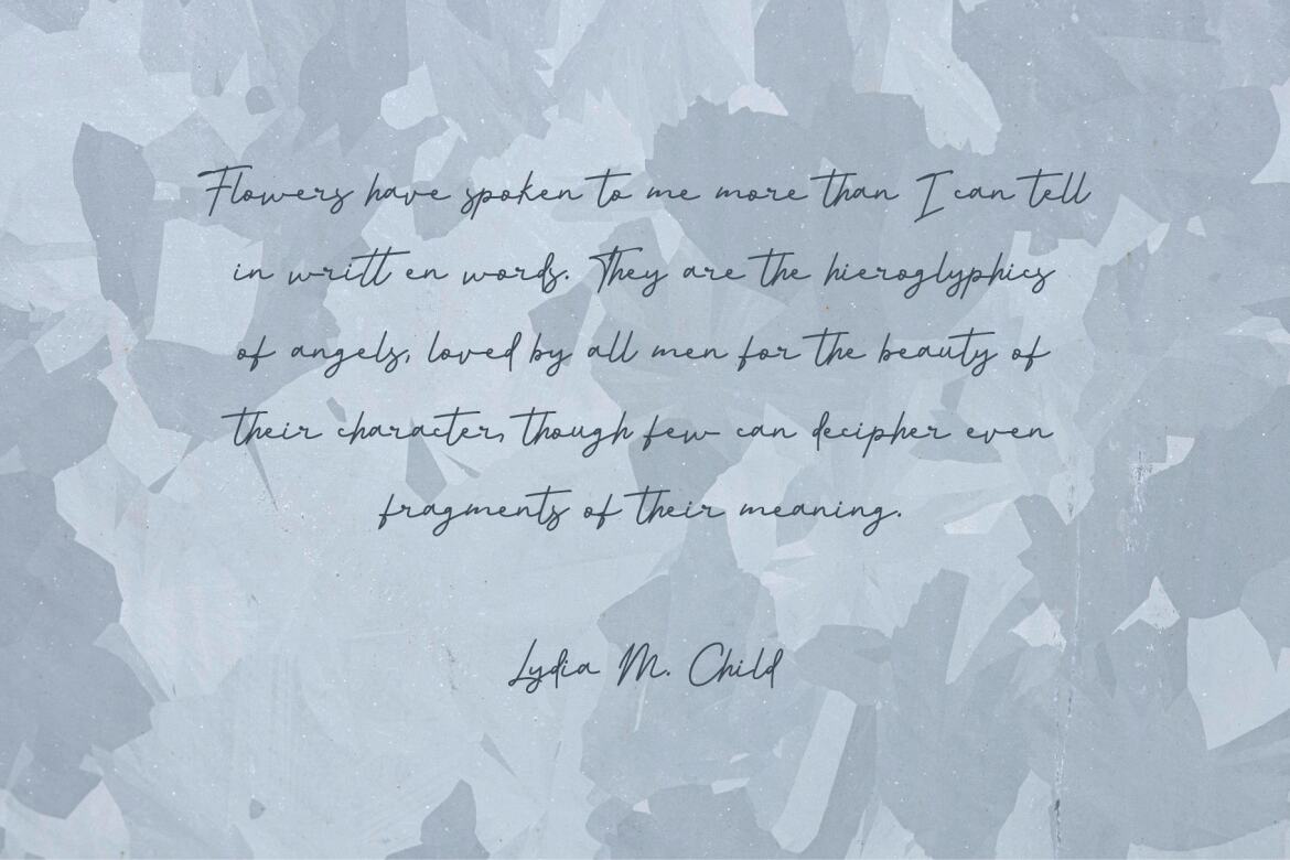 Morning FREE Signature Script - view 4