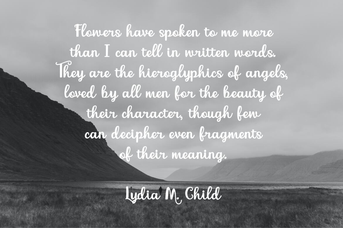 Marcellina FREE Script Font - view 4