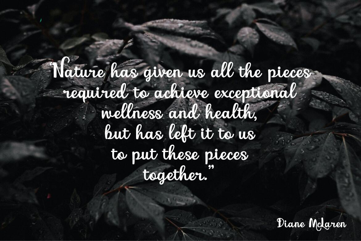 Marcellina FREE Script Font - view 6