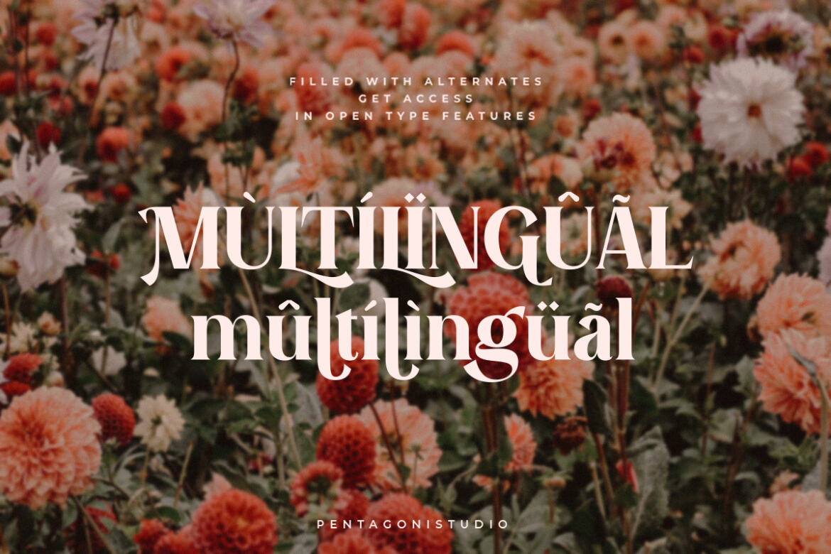 Evoria FREE Demo Font - view 9