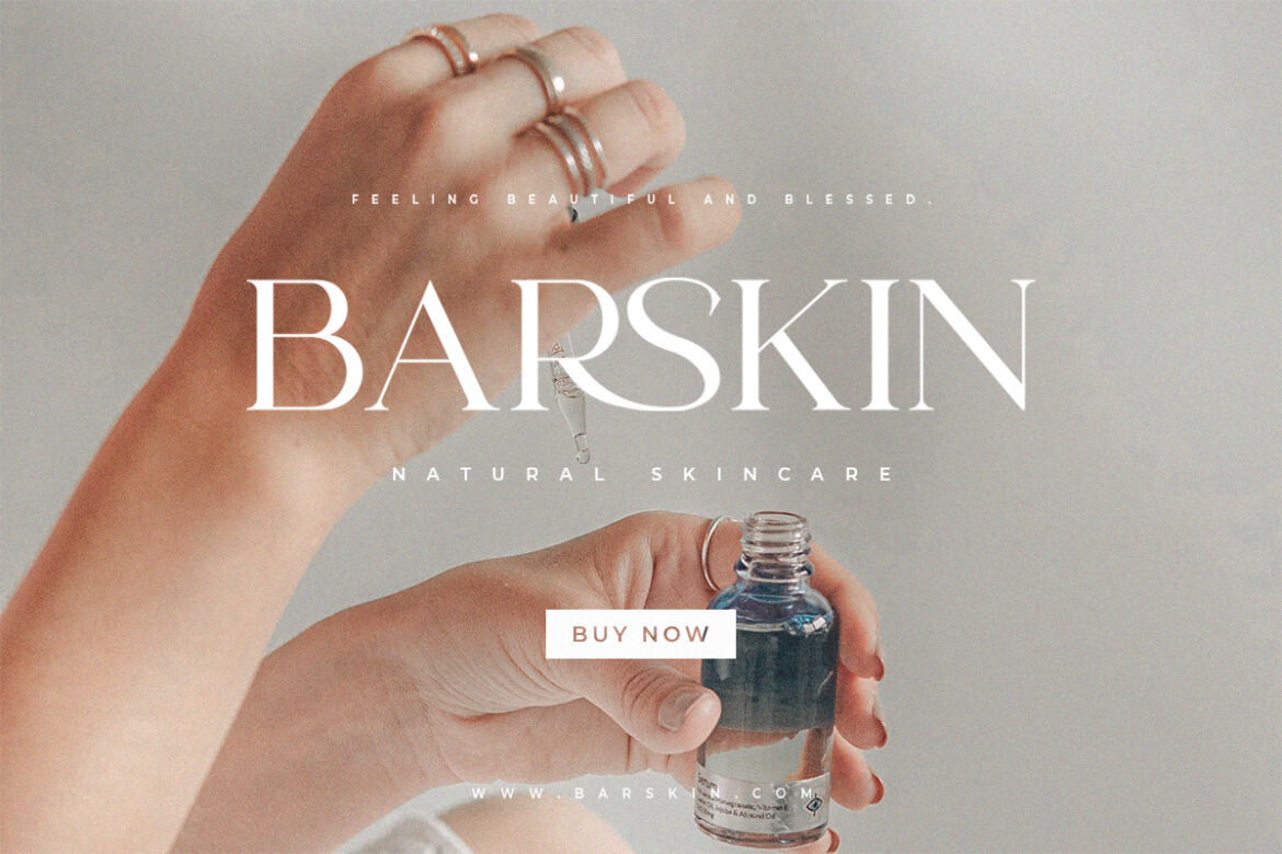 Lanche Serif FREE Demo Font - view 5