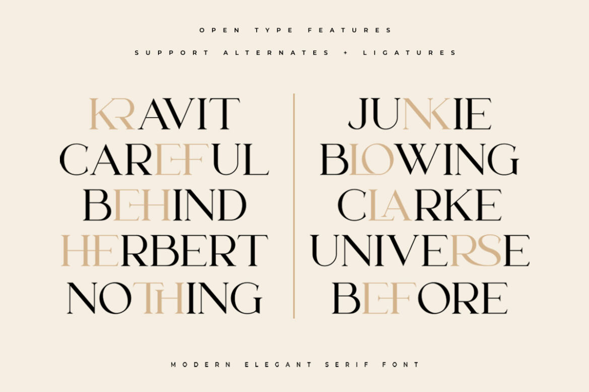 Lanche Serif FREE Demo Font - view 6