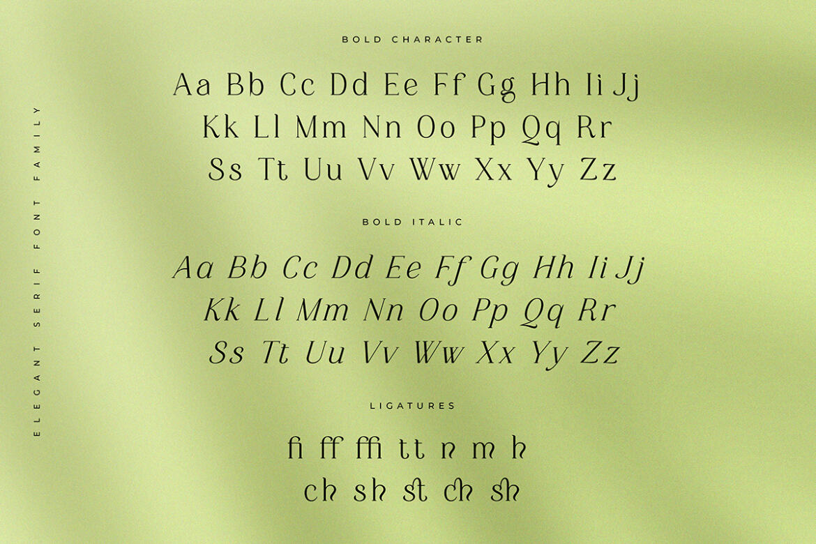 Mayfest Serif FREE Demo Font - view 11