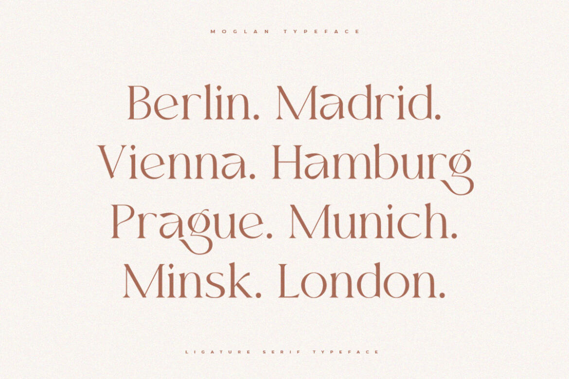 Moglan Serif FREE Demo Font - view 5