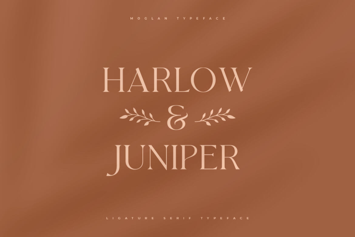 Moglan Serif FREE Demo Font - view 8